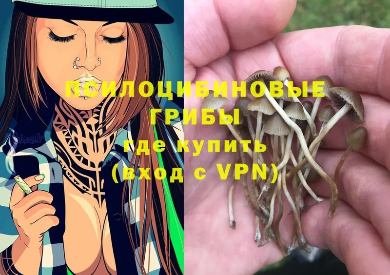 Галлюциногенные грибы мухоморы  Шумерля 